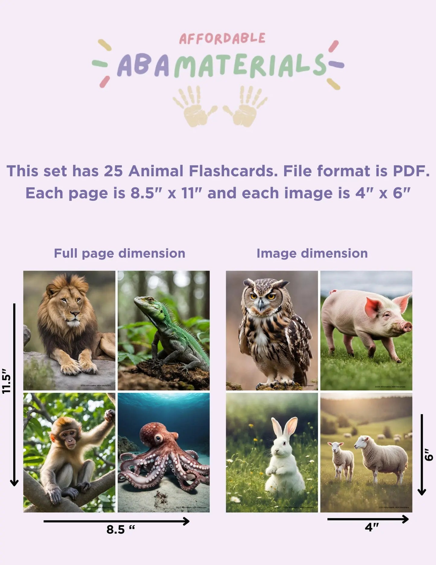 Engaging Animal Flash Cards: 25 Printable Flashcards Ideal for Montessori & ABA Therapy. Enhance Early Learning Now with Instant Download My Store