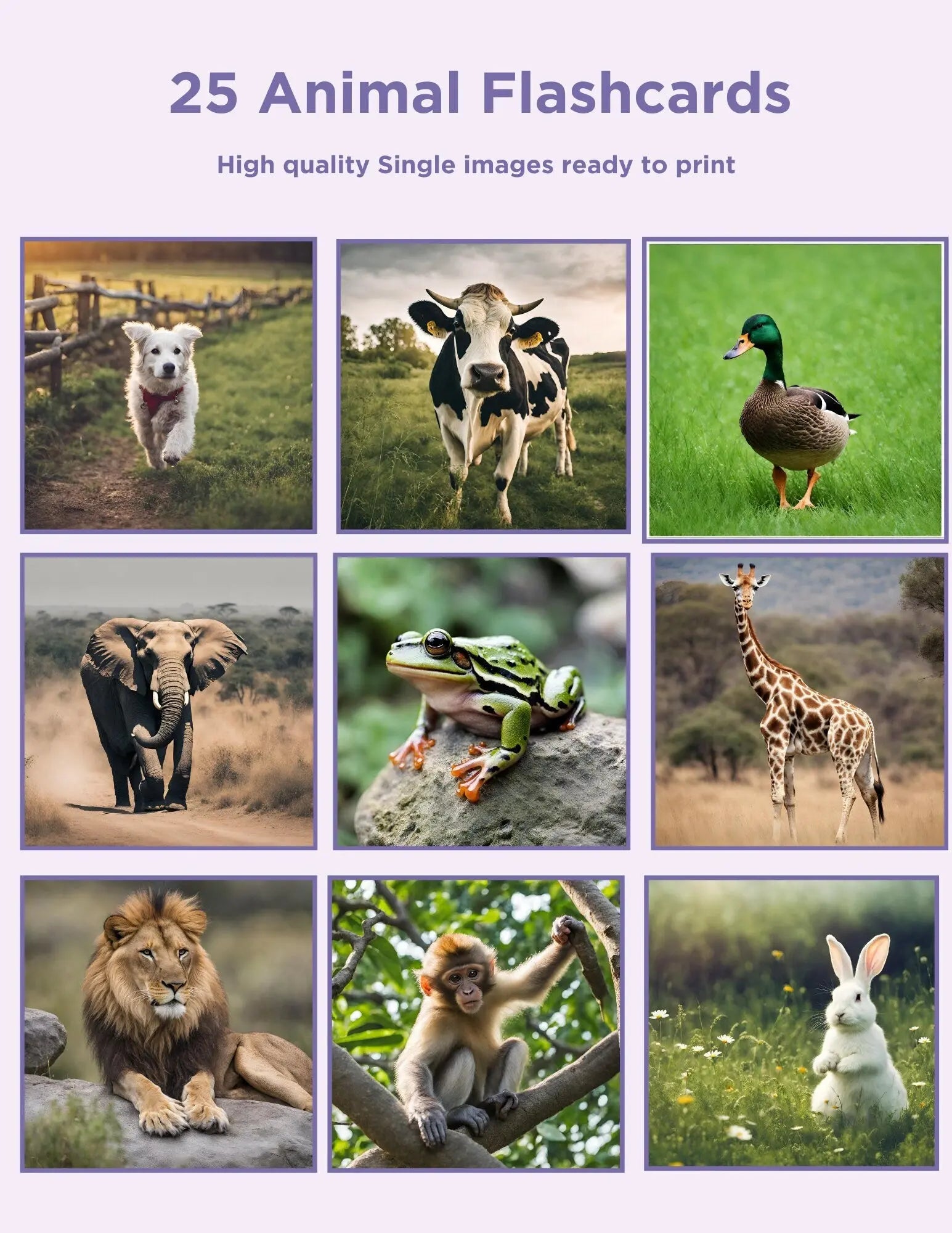 Printable Animal Flash Cards: 25 Picture Only Flashcards Single Image – Affordable ABA Materials printable-animal-flash-cards-25-picture-only-flashcards-single-image-affordable-aba-materials