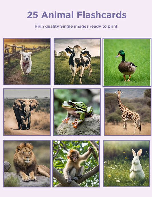 Engaging Animal Flash Cards: 25 Printable Flashcards Ideal for Montessori & ABA Therapy. Enhance Early Learning Now with Instant Download My Store