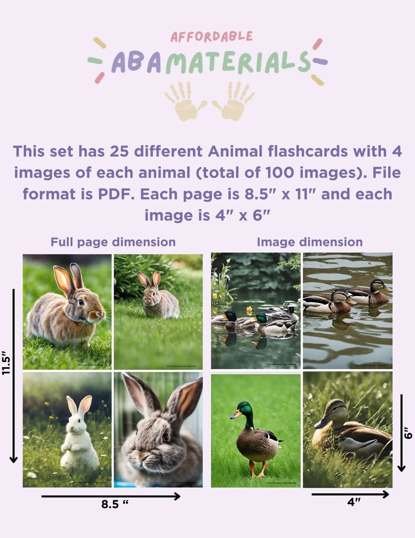 25 Animals Flash Cards - Printable Flashcards for Education, Enhance Learning with Montessori-style Cards for Kids Instant Digital Download My Store