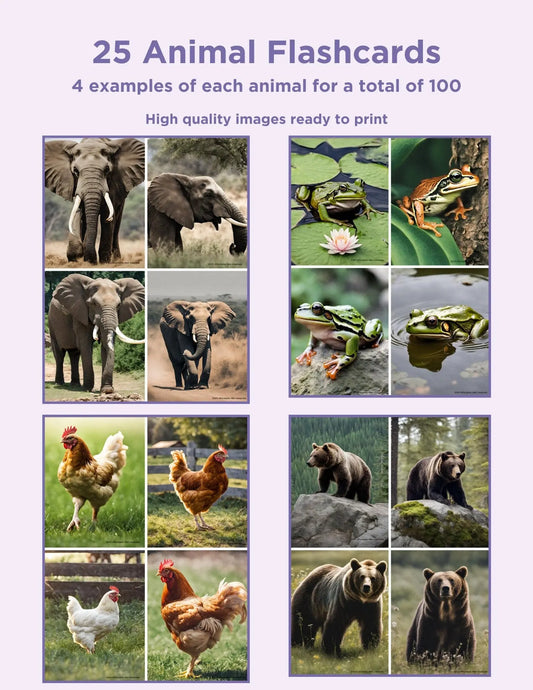 25 Animals Flash Cards - Printable Flashcards for Education, Enhance Learning with Montessori-style Cards for Kids Instant Digital Download My Store