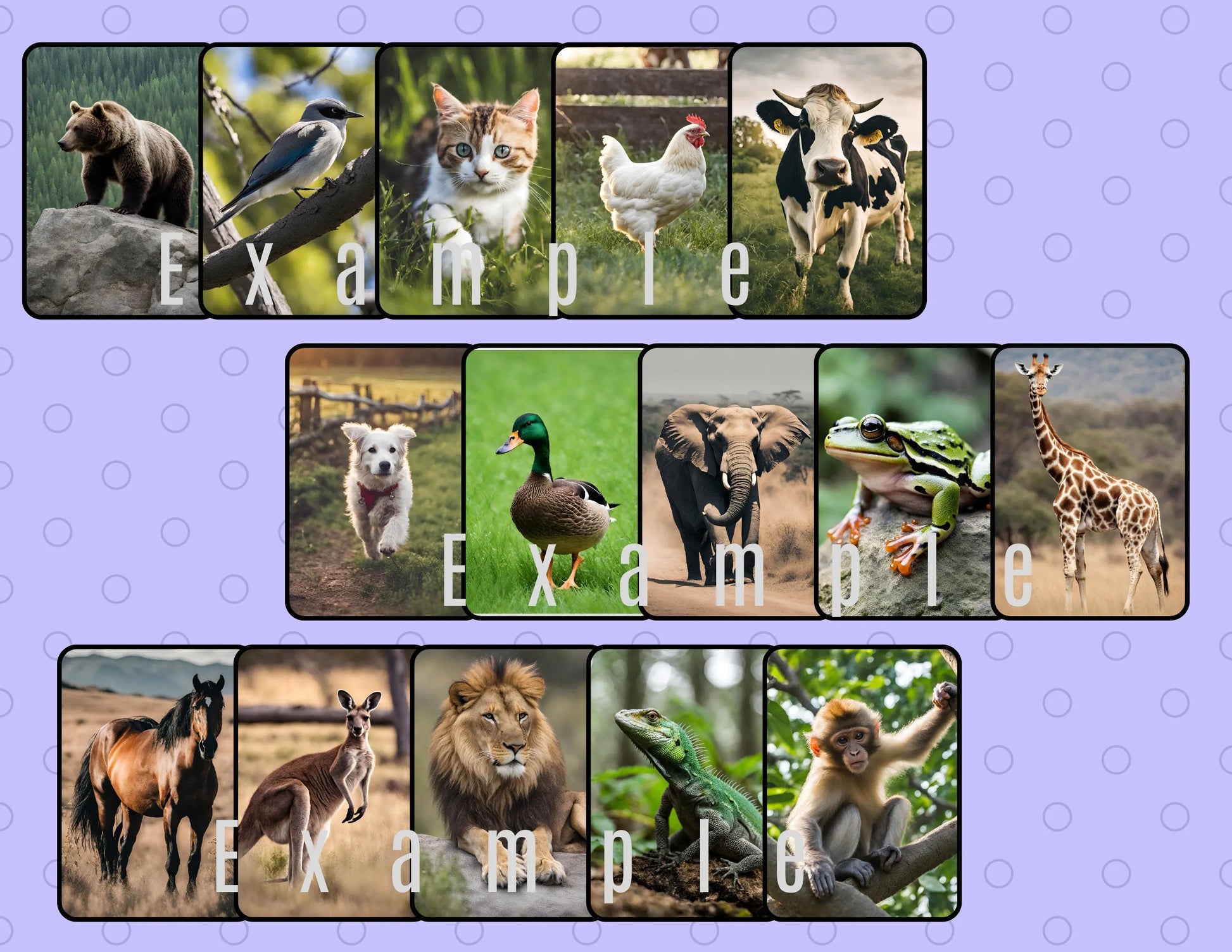 Engaging Animal Flash Cards: 25 Printable Flashcards Ideal for Montessori & ABA Therapy. Enhance Early Learning Now with Instant Download My Store