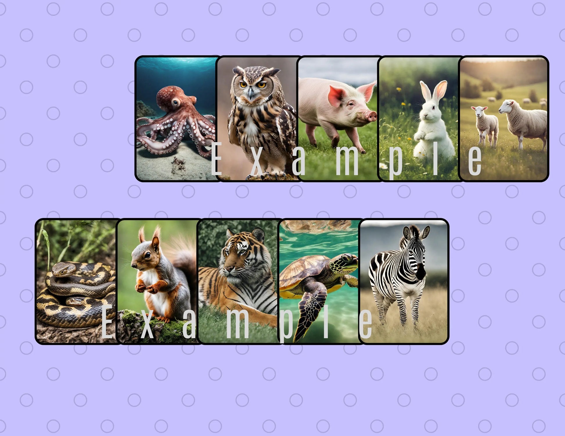 Engaging Animal Flash Cards: 25 Printable Flashcards Ideal for Montessori & ABA Therapy. Enhance Early Learning Now with Instant Download My Store