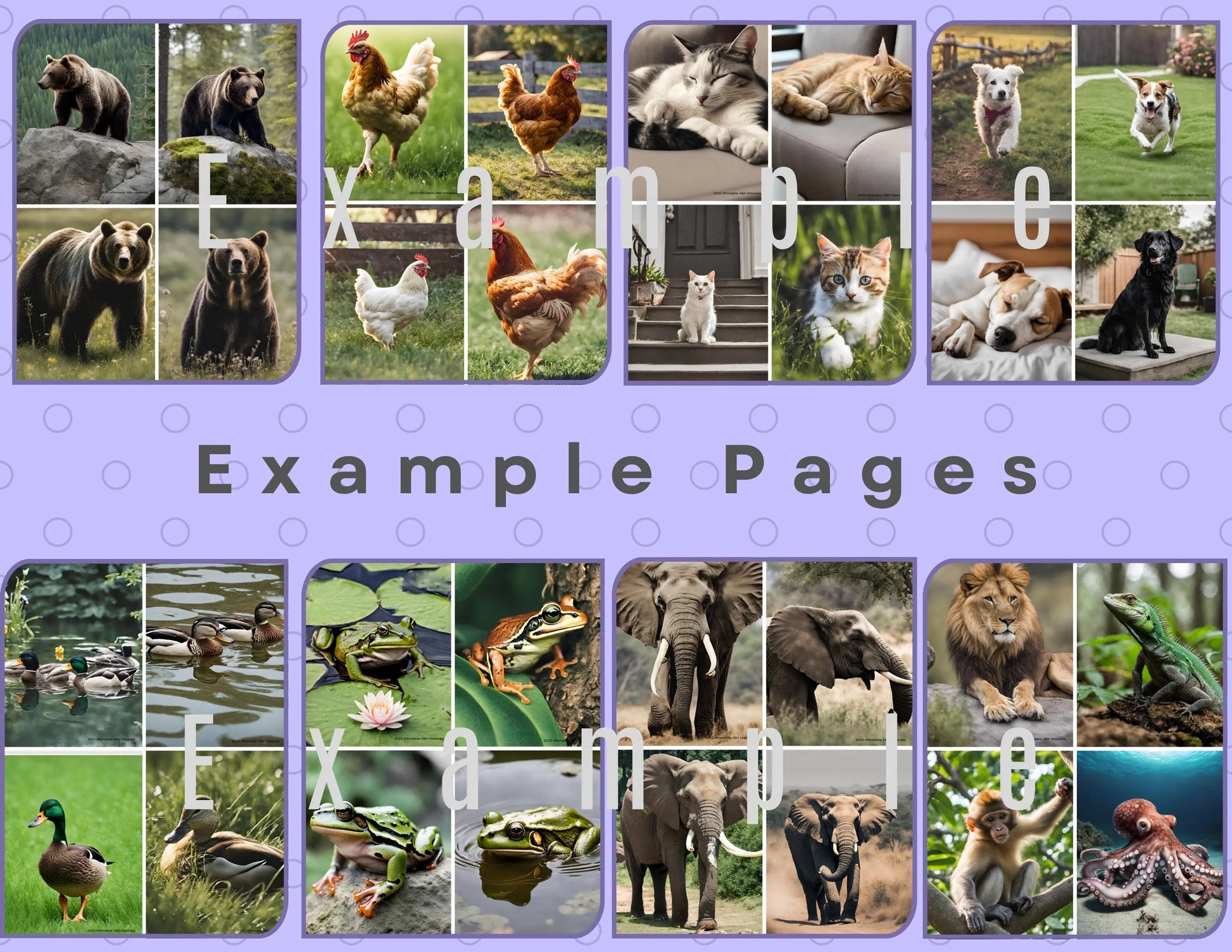 25 Animals Flash Cards - Printable Flashcards for Education, Enhance Learning with Montessori-style Cards for Kids Instant Digital Download My Store