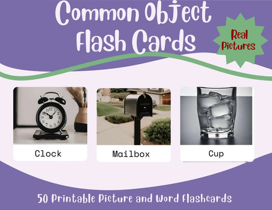 Common Object Flashcards-50 Printable Picture and Word Flash Card Set Affordable ABA Materials