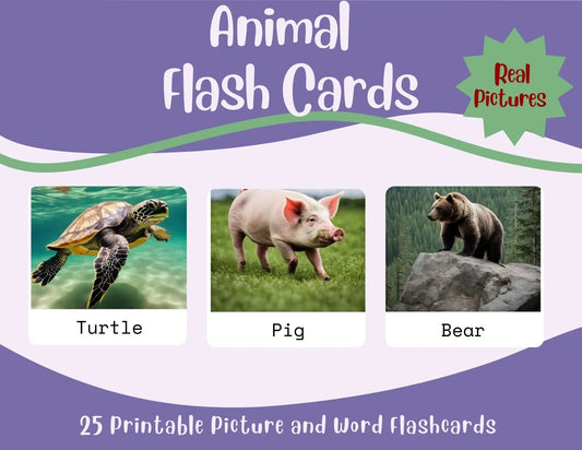 Animal Flashcards-25 Printable Picture and Word Flash Card Set Affordable ABA Materials